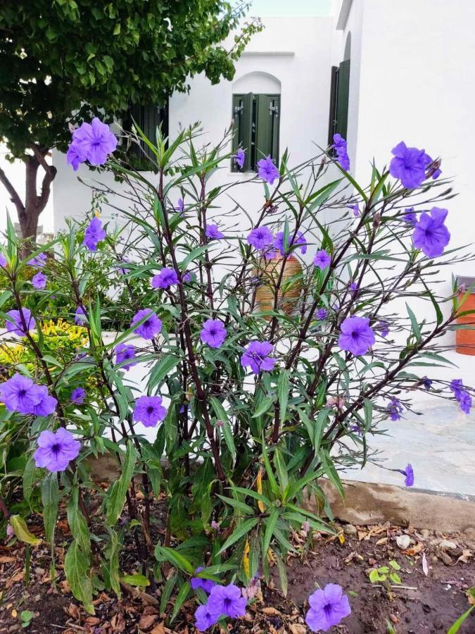 אפולוניה Ancient Meropia - Les Jardins Des Muses מראה חיצוני תמונה