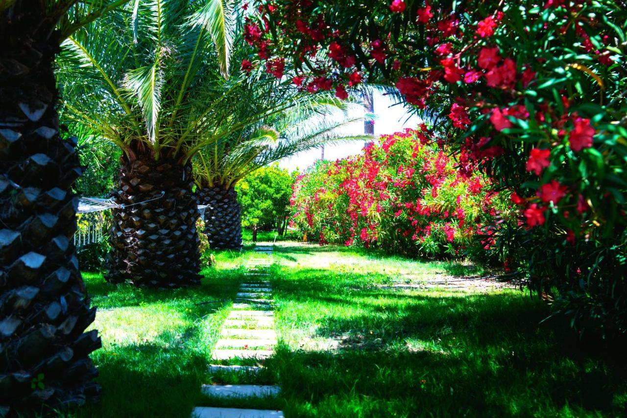 אפולוניה Ancient Meropia - Les Jardins Des Muses מראה חיצוני תמונה
